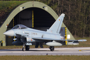 German Air Force Eurofighter EF2000 Typhoon (3106) at  Wittmundhafen Air Base, Germany