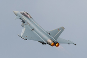 German Air Force (Luftwaffe) Eurofighter EF2000 Typhoon (3110) at  Fassberg AFB, Germany