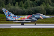 German Air Force (Luftwaffe) Eurofighter EF2000 Typhoon (3114) at  Rostock-Laage, Germany