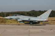 German Air Force Eurofighter EF2000 Typhoon (3116) at  Rostock-Laage, Germany