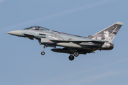 German Air Force (Luftwaffe) Eurofighter EF2000 Typhoon (3131) at  Norvenich Air Base, Germany