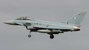German Air Force (Luftwaffe) Eurofighter EF2000 Typhoon (3134) at  Norvenich Air Base, Germany