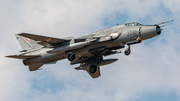 Polish Air Force (Siły Powietrzne) Sukhoi Su-22M4 Fitter-K (3201) at  Malbork, Poland