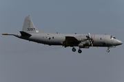 Royal Norwegian Air Force Lockheed P-3C Orion (3297) at  Nordholz - NAB, Germany