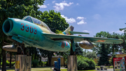 Polish Air Force (Siły Powietrzne) PZL-Mielec SBLim-2A (MiG-15UTI) (3303) at  Grajewo, Poland