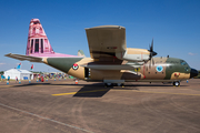 Royal Jordanian Air Force Lockheed C-130H Hercules (344) at  RAF Fairford, United Kingdom