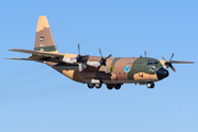 Royal Jordanian Air Force Lockheed C-130H Hercules (346) at  Warsaw - Frederic Chopin International, Poland