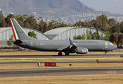 Mexican Air Force (Fuerza Aerea Mexicana) Boeing 737-8ZY (3528) at  Mexico City - Lic. Benito Juarez International, Mexico