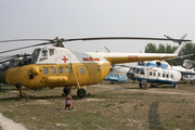 People's Liberation Army Air Force Harbin Z-5 (3529) at  Beijing - Datangshan (China Aviation Museum), China