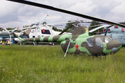 Soviet Union Air Force Mil Mi-1M Hare (35 YELLOW) at  Kiev - Igor Sikorsky International Airport (Zhulyany), Ukraine