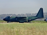 Mexican Air Force (Fuerza Aerea Mexicana) Lockheed C-130E Hercules (3612) at  Mexico City - Santa Lucia, Mexico