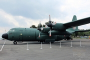 Mexican Air Force (Fuerza Aerea Mexicana) Lockheed C-130E Hercules (3613) at  Mexico City - Santa Lucia, Mexico