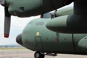 Mexican Air Force (Fuerza Aerea Mexicana) Lockheed C-130E Hercules (3613) at  Mexico City - Santa Lucia, Mexico