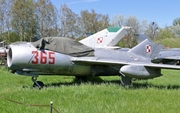 Polish Air Force (Siły Powietrzne) PZL-Mielec Lim-2 (MiG-15bis) (365) at  Warsaw - Museum of Polish Military Technology, Poland