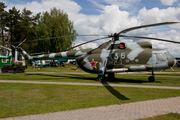 Belarus Air Force Mil Mi-8T Hip-C (36 BLUE) at  Minsk - Borovaya, Belarus