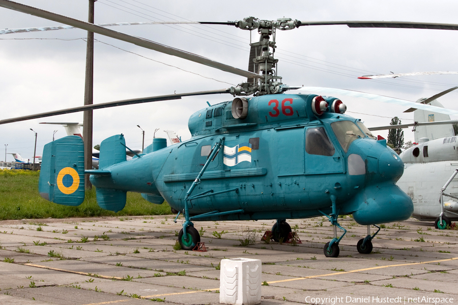 Ukrainian Navy Kamov Ka-25BSh Hormone-A (36 RED) | Photo 502606