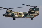 Japan Air Self-Defense Force Boeing CH-47J Chinook (37-4489) at  Nagoya - Komaki, Japan