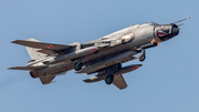 Polish Air Force (Siły Powietrzne) Sukhoi Su-22M4 Fitter-K (3817) at  Malbork, Poland