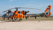 French Army (Armée de Terre) Aerospatiale SA342M Gazelle (3862) at  Zaragoza, Spain