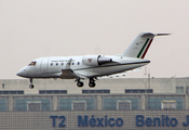 Mexican Air Force (Fuerza Aerea Mexicana) Bombardier CL-600-2B16 Challenger 605 (3911) at  Mexico City - Lic. Benito Juarez International, Mexico