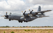Peruvian Air Force (Fuerza Aerea del Peru) Lockheed KC-130H Hercules (393) at  Natal - Augusto Nevero International, Brazil