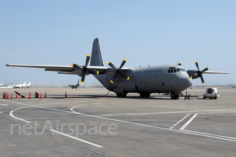 Peruvian Air Force (Fuerza Aerea del Peru) Lockheed L-100-20 (Model 382E/F) Hercules (397) at  Lima - Jorge Chavez International, Peru