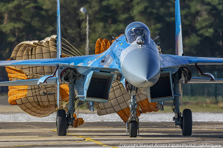 Ukrainian Air Force Sukhoi Su-27P Flanker B (39 BLUE) | Photo 456976