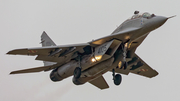 Polish Air Force (Siły Powietrzne) Mikoyan-Gurevich MiG-29GT Fulcrum (4105) at  Malbork, Poland