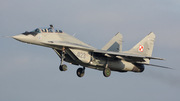 Polish Air Force (Siły Powietrzne) Mikoyan-Gurevich MiG-29UB Fulcrum (4123) at  Malbork, Poland