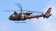 French Army (Armée de Terre) Aerospatiale SA342M Gazelle (4142) at  Schleswig - Jagel Air Base, Germany