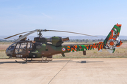 French Army (Armée de Terre) Aerospatiale SA342M Gazelle (4146) at  Zaragoza, Spain