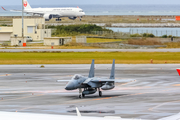 Japan Air Self-Defense Force McDonnell Douglas F-15J Eagle (42-8945) at  Okinawa - Naha, Japan