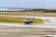 Japan Air Self-Defense Force McDonnell Douglas F-15J Eagle (42-8945) at  Okinawa - Naha, Japan