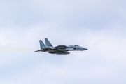 Japan Air Self-Defense Force McDonnell Douglas F-15J Eagle (42-8948) at  Okinawa - Naha, Japan