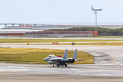 Japan Air Self-Defense Force McDonnell Douglas F-15J Eagle (42-8950) at  Okinawa - Naha, Japan