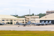 Japan Air Self-Defense Force McDonnell Douglas F-15J Eagle (42-8950) at  Okinawa - Naha, Japan
