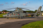 Lithuanian Air Force Eurocopter AS365N3+ Dauphin 2 (42) at  Nordholz/Cuxhaven - Seeflughafen, Germany