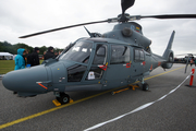 Lithuanian Air Force Eurocopter AS365N3+ Dauphin 2 (42 BLUE) at  Vojens - Skrydstrup, Denmark