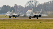 Polish Air Force (Siły Powietrzne) Mikoyan-Gurevich MiG-29UB Fulcrum (42) at  Malbork, Poland