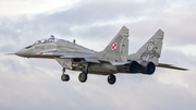 Polish Air Force (Siły Powietrzne) Mikoyan-Gurevich MiG-29UB Fulcrum (42) at  Malbork, Poland