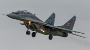 Polish Air Force (Siły Powietrzne) Mikoyan-Gurevich MiG-29UB Fulcrum (42) at  Malbork, Poland