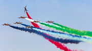 United Arab Emirates Air Force Aermacchi MB-339NAT (435) at  Dubai - World Central / Al Maktoum International, United Arab Emirates