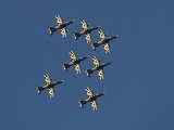 United Arab Emirates Air Force Aermacchi MB-339NAT (435) at  RAF Fairford, United Kingdom