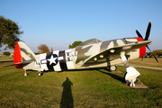 United States Army Air Force Republic P-47N Thunderbolt (44-89348) at  San Antonio - Kelly Field Annex, United States