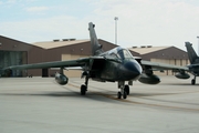 German Air Force Panavia Tornado IDS(T) (4438) at  Holloman AFB, United States