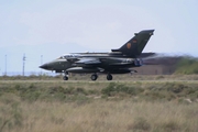 German Air Force (Luftwaffe) Panavia Tornado IDS(T) (4438) at  Holloman AFB, United States