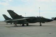 German Air Force (Luftwaffe) Panavia Tornado IDS(T) (4438) at  Holloman AFB, United States