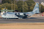 Japan Air Self-Defense Force Lockheed C-130H Hercules (45-1074) at  Nagoya - Komaki, Japan