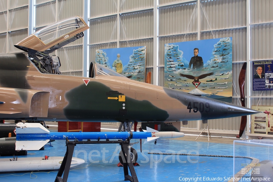 Mexican Air Force (Fuerza Aerea Mexicana) Northrop F-5E Tiger II (4509) | Photo 260421