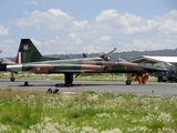 Mexican Air Force (Fuerza Aerea Mexicana) Northrop F-5E Tiger II (4509) at  Mexico City - Santa Lucia, Mexico